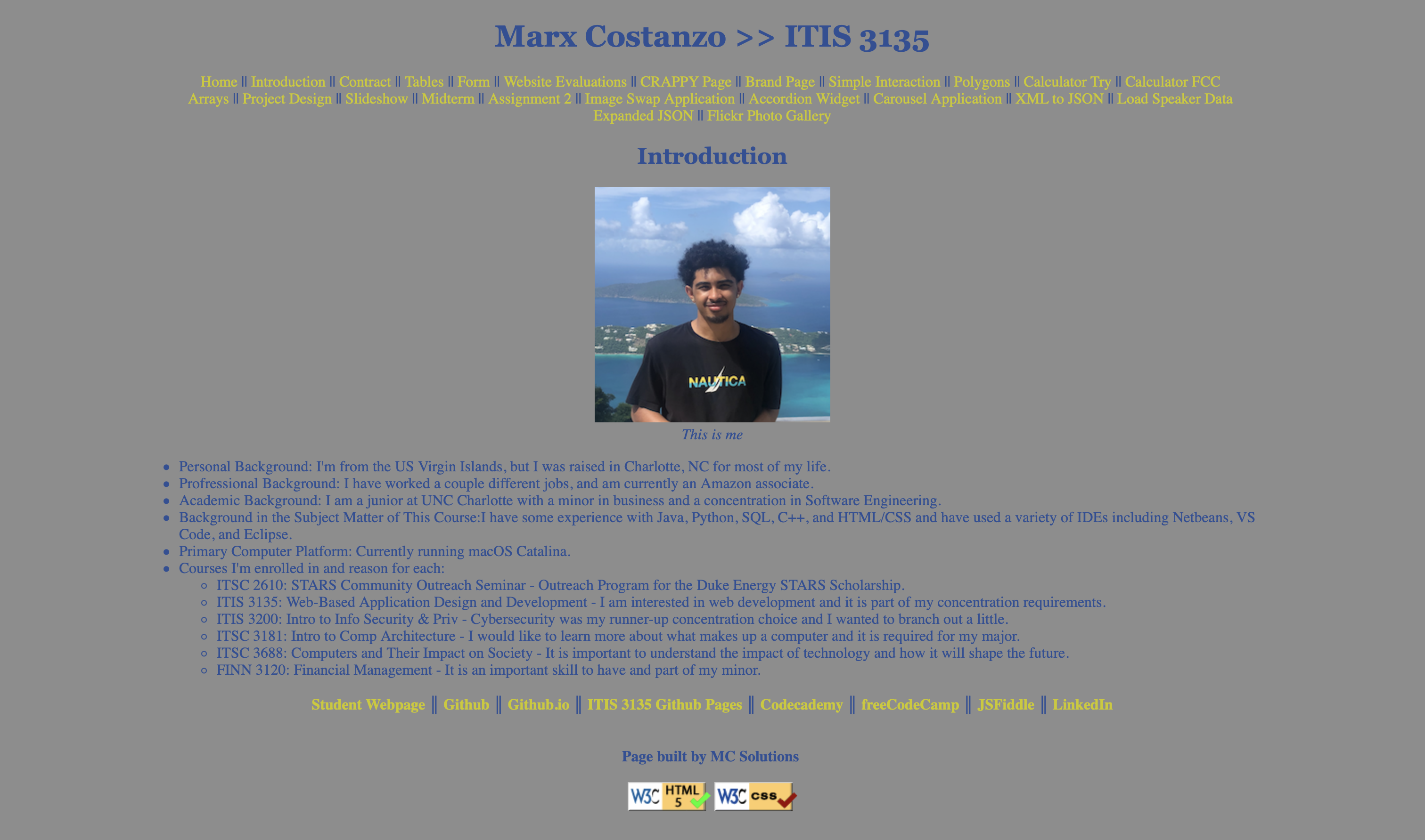 ITIS 3135 Page Thumbnail